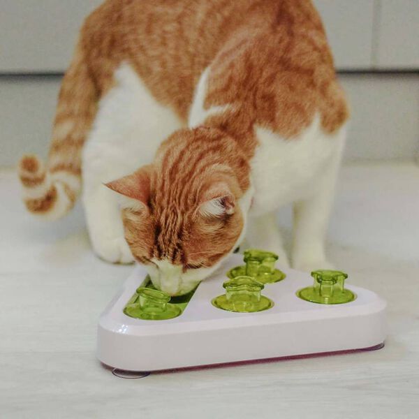 Ferplast Jouet d'activit&eacute; pour chat/chien Trea