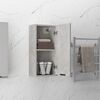vidaXL Armoire de salle de bain murale Gris b&eacute;ton 32x20x67 cm