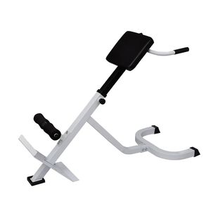 vidaXL Banc de musculation du dos