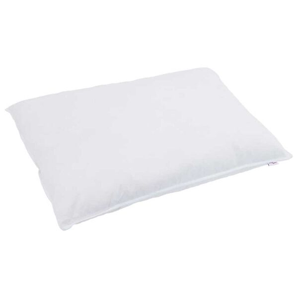 vidaXL Oreiller avec oreiller 2 pcs Blanc 60 x 70 cm Plume