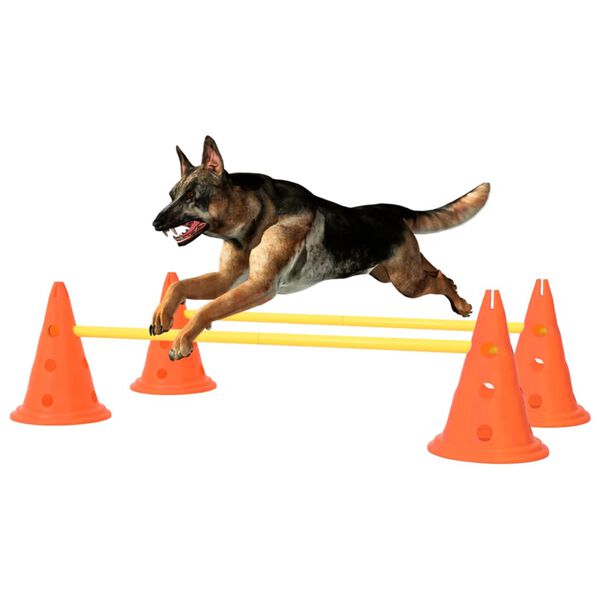 vidaXL Ensemble d'obstacles d'activit&eacute; pour chien Orange et jaune