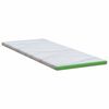 vidaXL Surmatelas Blanc et vert 180 x 200 x 6 cm Tissu Jacquard