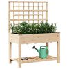 vidaXL Cache-pot de jardin avec &eacute;tag&egrave;re Beige 115 x 60,5 x 153 cm