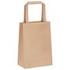 vidaXL Sacs en papier 250 pcs avec poign&eacute;es marron 15x8x21 cm