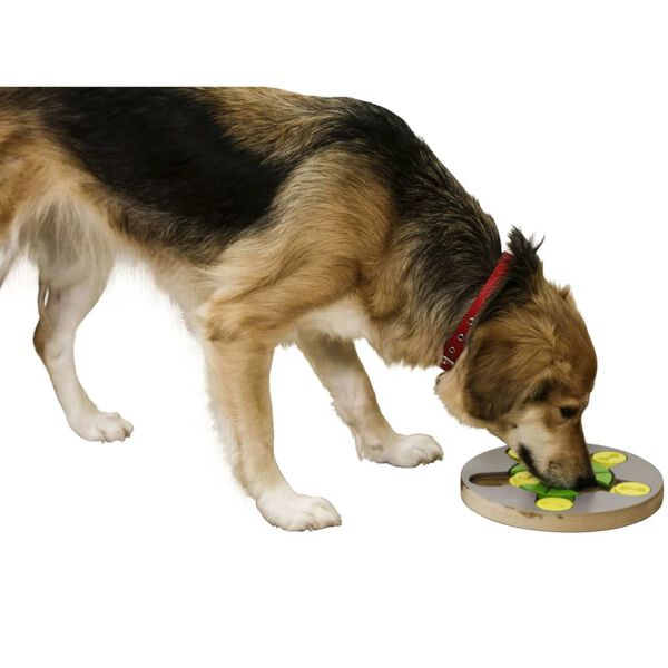 Kerbl Jouet de r&eacute;flexion et d'apprentissage pour chien Switch 25x2,5cm