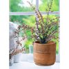 Home&Styling Ensemble de pots de fleurs 3 pcs bois de manguier massif