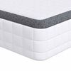 vidaXL Matelas Blanc et Gris 100 x 200 cm Printemps Bonell
