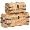 vidaXL Coffres de rangement 2 pcs Bois de manguier massif