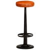 vidaXL Chaises de bar lot de 2 cuir v&eacute;ritable