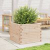 vidaXL Jardini&egrave;re 60x60x46 cm bois de pin massif