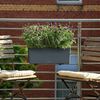 Vignette du produit 10 sur 13