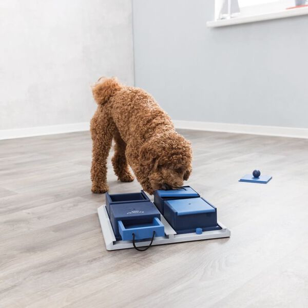 TRIXIE Activit&eacute; canine jeu de strat&eacute;gie