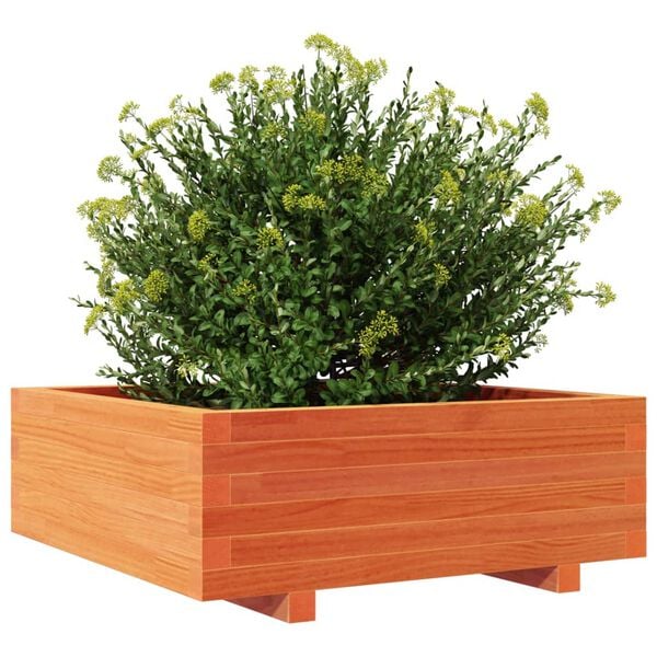 vidaXL Jardini&egrave;re cire marron 70x70x26,5 cm bois de pin massif