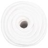 vidaXL Corde de bateau Blanc complet 20 mm 25 m Polypropyl&egrave;ne