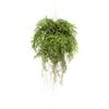 Emerald Foug&egrave;re artificielle suspendue avec racines 55 cm