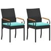 Black_and_turquoise
