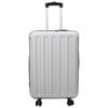 vidaXL Valise avec verrouillage Argent 43 x 27 x 66 cm Plastic ABS