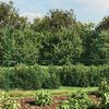 Vignette du produit 2 sur 6