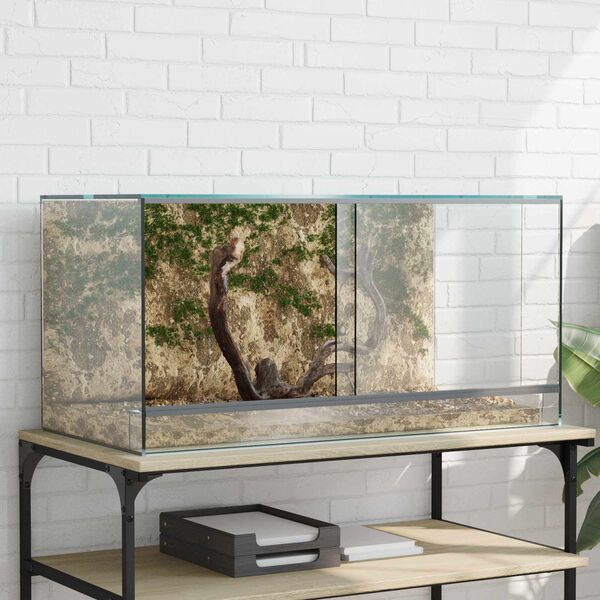 vidaXL Terrarium avec stockage Transparent 80 x 40 x 40 cm Verre