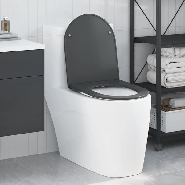 vidaXL Siège de toilette Anthracite 44 x 36,4 x 3,4 cm Duroplast