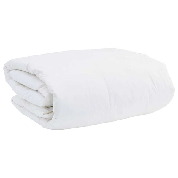 vidaXL Duvet d'hiver Blanc 240 x 220 cm Plume