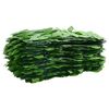 vidaXL Écran de balcon avec feuilles vert 600x75 cm
