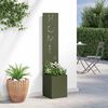 vidaXL Écran de confidentialité de jardin Vert olive 32 x 140 cm