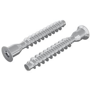 vidaXL Vis confirmat 2 pcs Argent&eacute; &Oslash;7 x 50 mm M&eacute;tал