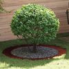 vidaXL adapt&eacute; pour anneaux d'arbre plats 5 pcs Marron &Oslash;90 / 120 cm