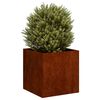 vidaXL Jardini&egrave;re rouill&eacute; 40x40x40 cm acier inoxydable