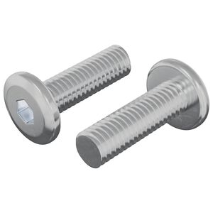 vidaXL Vis 2 pi&egrave;ces Argent&eacute; 8 x 25 mm Acier