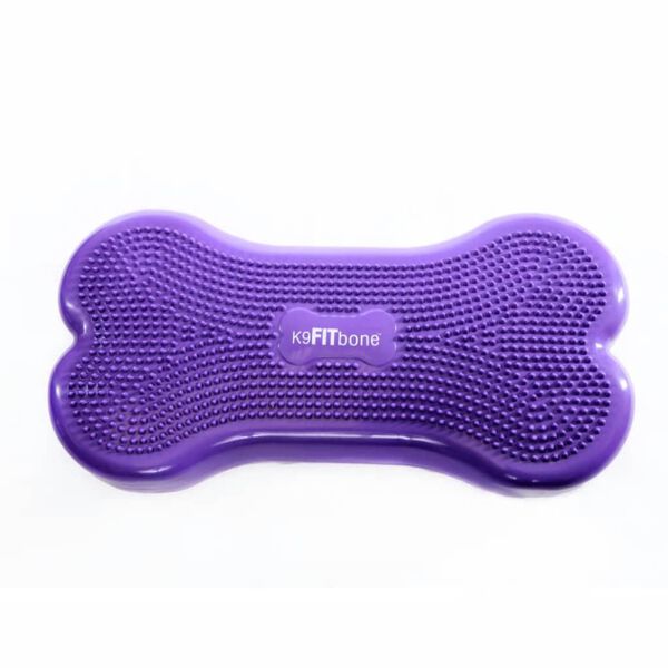 FitPAWS Plate-forme d'&eacute;quilibre d'animaux Giant K9FITbone PVC Violet