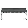 vidaXL Auvent sur pied 600 x 300 cm Anthracite