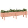 vidaXL Lit sur&eacute;lev&eacute; de jardin 160x30x38 cm bois douglas massif