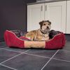 Scruffs Lit &agrave; bo&icirc;te pour chien Highland Rouge M
