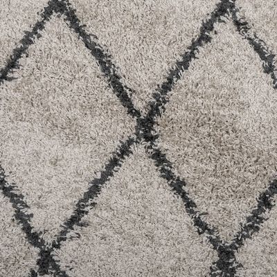 vidaXL Tapis shaggy à poils longs moderne beige et anthracite Ø 120 cm