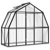 vidaXL Serre avec cadre de base anthracite 3,3 m&sup2; aluminium