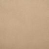 vidaXL Fleece de protection des plantes contre le gel Beige 50 x 3,2 m