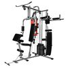 vidaXL Appareil de musculation multifonctionnel avec sac de boxe 65 kg