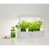 Smartwares Lampe de culture de jardin &agrave; LED 14 W Blanc