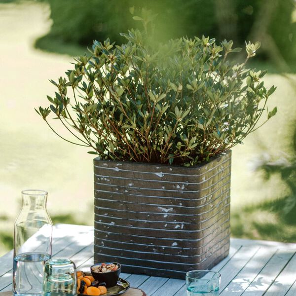 Capi Jardini&egrave;re Nature Row carr&eacute;e 30x30x30 cm Vert olive