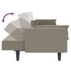 vidaXL Canap&eacute;-lit &agrave; 2 places avec deux oreillers Gris clair Velours