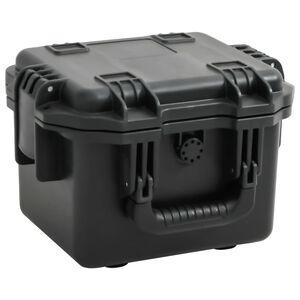 vidaXL Valise de vol portable Noir 30x24,5x20 cm PP
