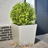 vidaXL Jardini&egrave;res 2 pcs 50x50x50 cm acier inoxydable