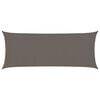 vidaXL Voile d'ombrage 160 g/m&sup2; Anthracite 2x5 m PEHD