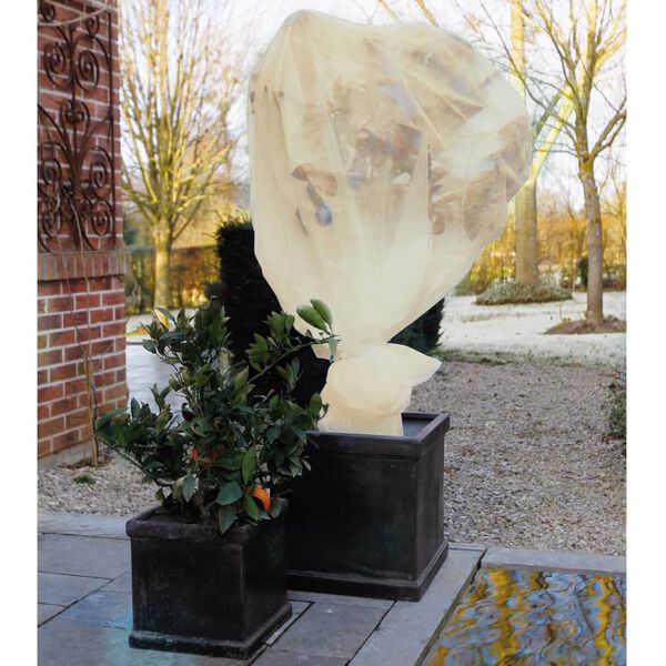 Nature Couverture en polaire d'hiver 60 g/m&sup2; Beige 2x5 m