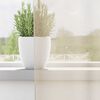 vidaXL Rideaux en voile avec passants 2 pcs cr&egrave;me