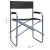 vidaXL Chaises de metteur en sc&egrave;ne lot de 2 Acier Noir