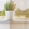 vidaXL Rideaux en voile avec &oelig;illets 2 pcs sable