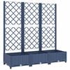 Blue_grey